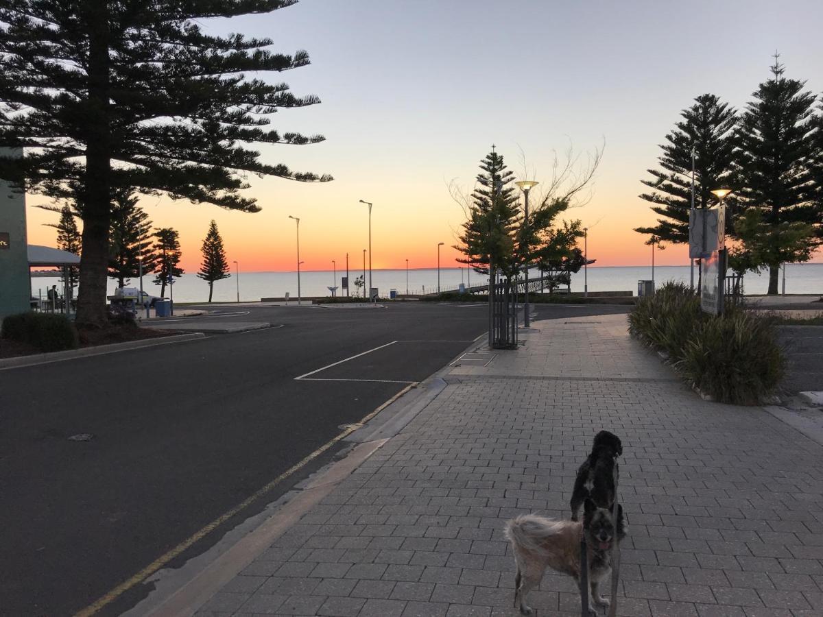 BIG4 Ceduna Tourist Park Luaran gambar
